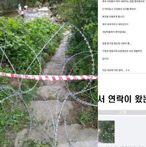 9 4.png?resize=1200,630 - 계곡 식당 주인 사이다 교육 레전드