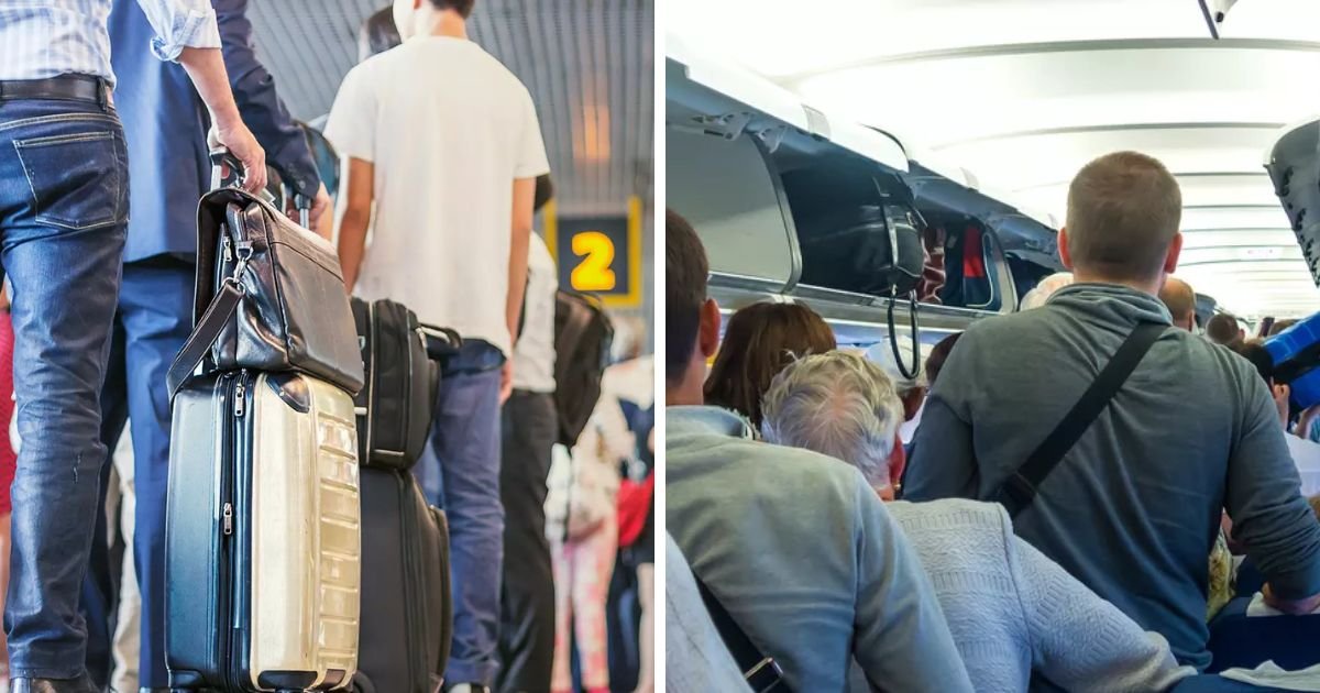 copy of articles thumbnail 1200 x 630 3 7.jpg?resize=1200,630 - American Airlines Flight Makes Emergency Landing After Passengers Spot Lice Crawling In Woman's Hair