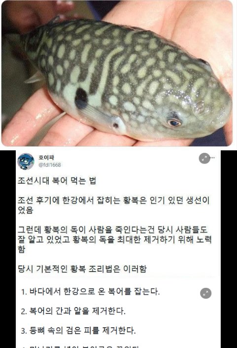 2 5.png?resize=1200,630 - 조선시대 복어 먹는 법