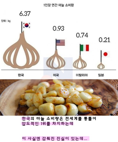 10 26.png?resize=412,232 - 한국의 마늘 소비량 1위의 감춰진 진실.......