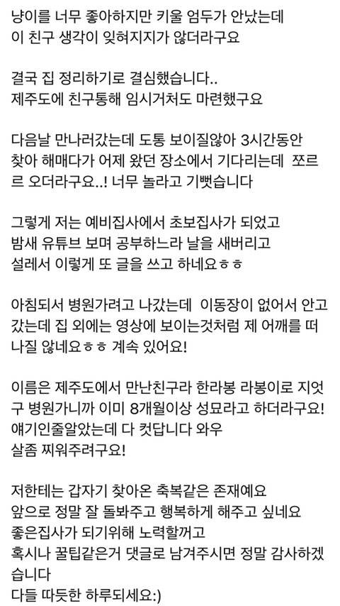 혼자 여행 갔는데 갑자기 어깨에 고양이 올라온 사람 썰.txt | 인스티즈