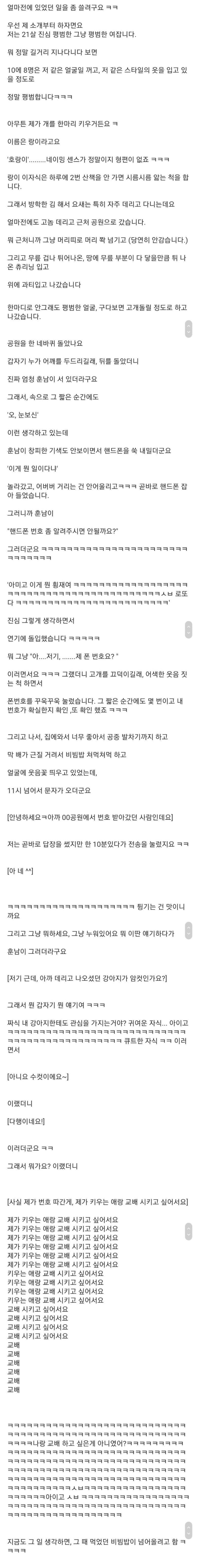 image.png 개 산책 시키다가 번호 따인 여자 ㄷㄷㄷ..jpg