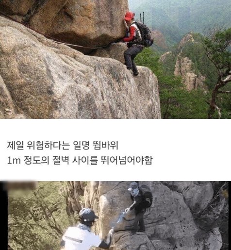 20241005171146.png?resize=412,275 - 한국에서 이곳을 입산금지 시켜버린 이유ㄷㄷ