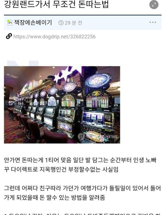 20241005172847.png?resize=412,275 - 강ㅇ랜드가서 무조건 돈 버는 법ㄷㄷ