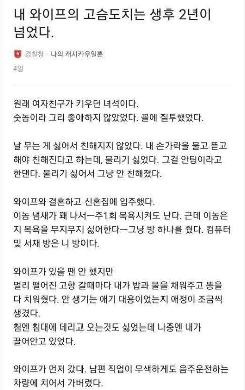 3 29.png?resize=412,232 - 아내가 키우던 고슴도치