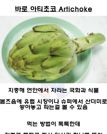 4 30.png?resize=1200,630 - 한국에서는 취급 자체를 안하는 유럽 야채수준.jpg