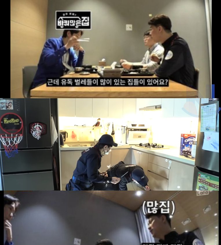 5 5.png?resize=412,275 - 세스코직원이 폭로한 유독 벌ㄹ가 나오는집 특징ㄷㄷ