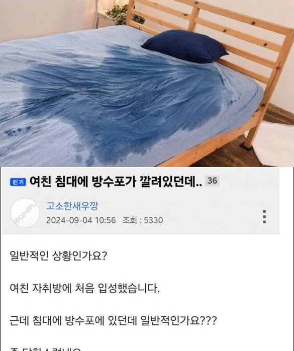 5 6.png?resize=1200,630 - 여친 침대에 방수포가 깔려있던데