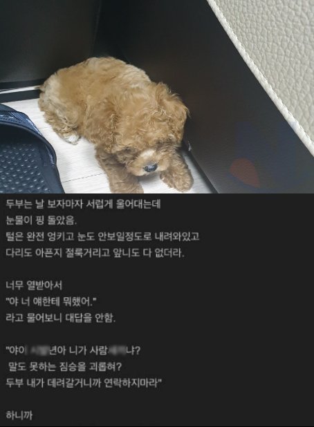 6 16.png?resize=1200,630 - 여친이 바람펴서 헤어졌는데, 강아지가 다시 맺어준 인연.jpg