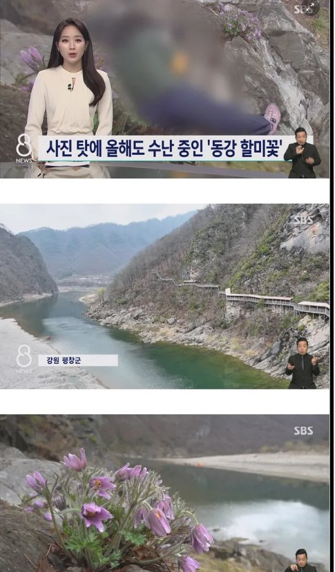 8 1.png?resize=1200,630 - 사진 작가들이 사진 찍고 훼손하는 이유