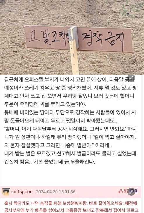 8 39.png?resize=1200,630 - 내 땅에 남이 무단으로 농사를 지으면 무조건 막아야 하는 이유