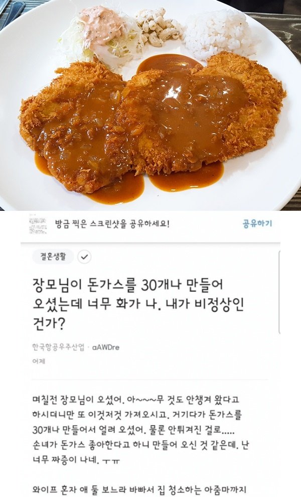 9.jpg?resize=1200,630 - 장모님이 돈가스 30개줘서 빡친다는 KAI좌..