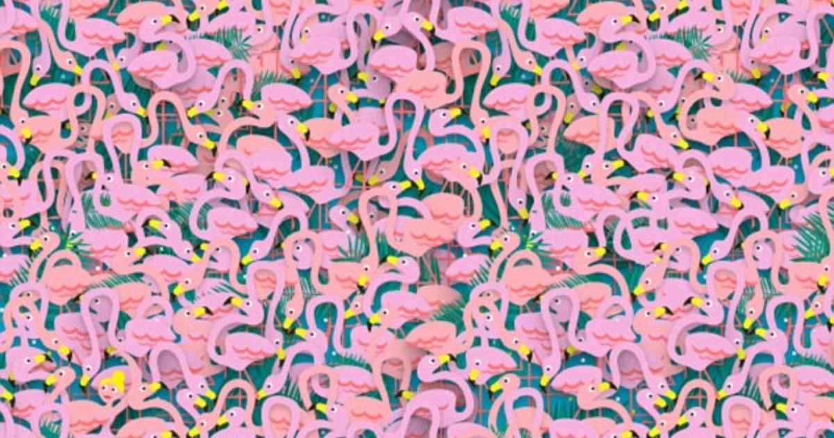 copy of articles thumbnail 1200 x 630 11 14.jpg?resize=1200,630 - Can You Spot The Hidden BALLET DANCER In This Sea Of Flamingos?