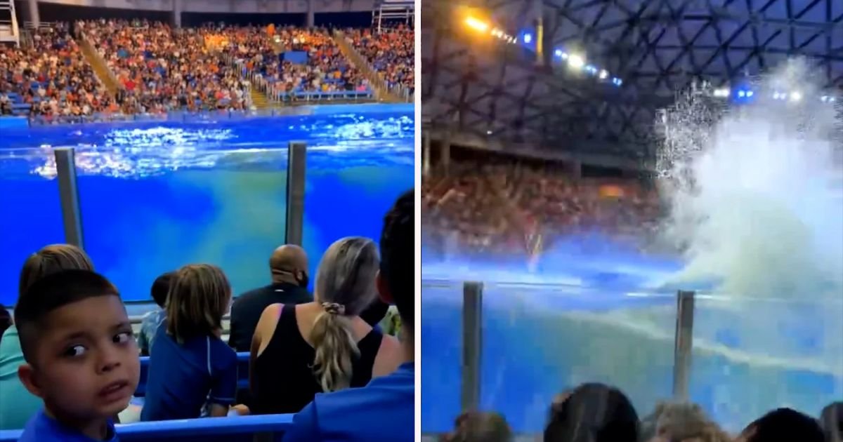 copy of articles thumbnail 1200 x 630 20 1.jpg?resize=1200,630 - SeaWorld Orca POOPS In Tank & Then Splashes It All Over Spectators