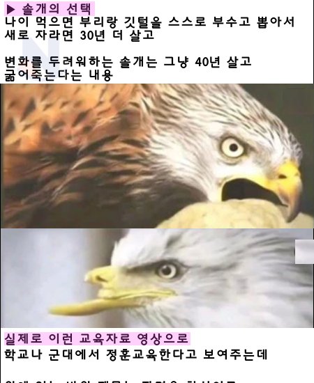 1 15.png?resize=1200,630 - wow... 한국에 퍼졌던 역대급 헛소리