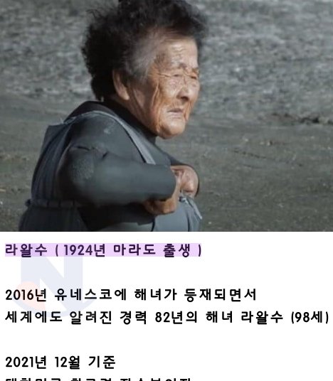 1 18.png?resize=1200,630 - 경력 82년인 해녀 능력수준 ㄷㄷㄷ