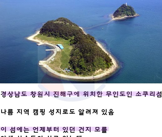 1 33.png?resize=1200,630 - 한국에도 존재하고 있는 동물섬 ㅎㄷㄷ.jpg