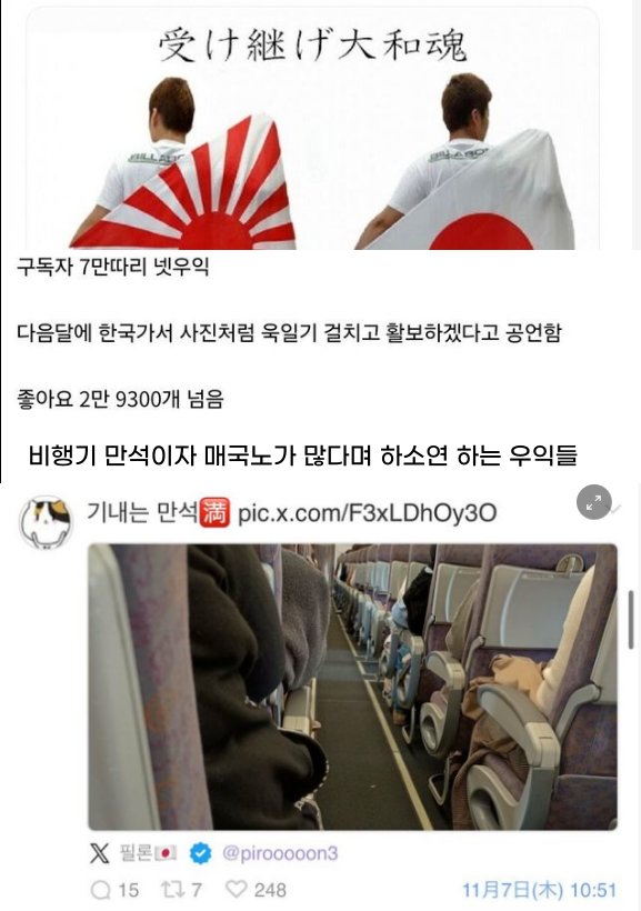 10 14.png?resize=412,232 - 몇달전 욱일기 들고 한국 온다던 일본인 근황