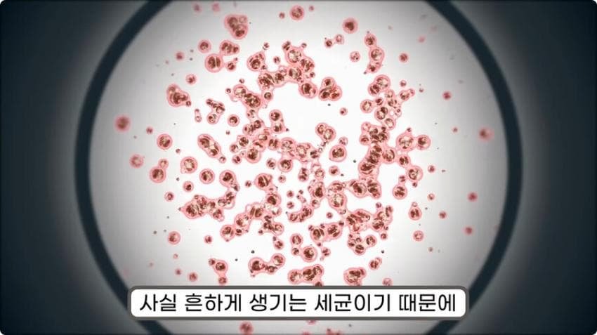 스압) 화장실 청소를 열심히 해야하는 이유