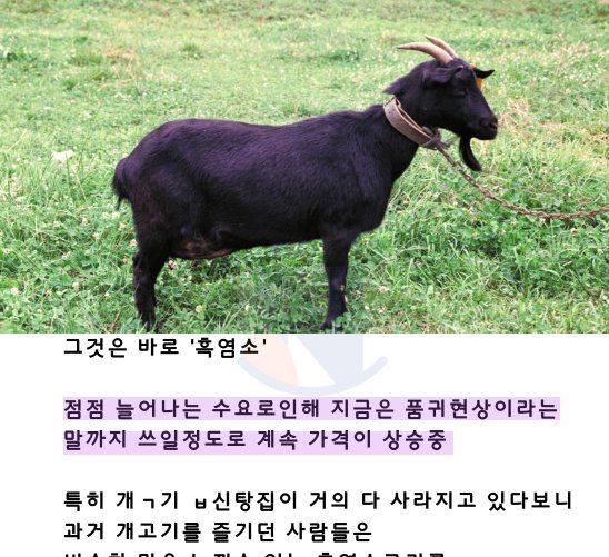 11 1.png?resize=1200,630 - 계속해서 가격이 엄청 상승하고 있는 유일한 고기ㅎㄷㄷ