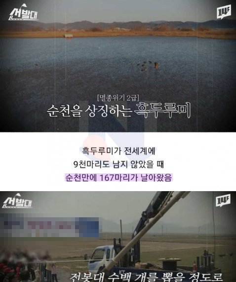 13 1.png?resize=412,232 - 순천시가 전봇대 수백 개를 뽑아버린 최후 ㅎㄷㄷ