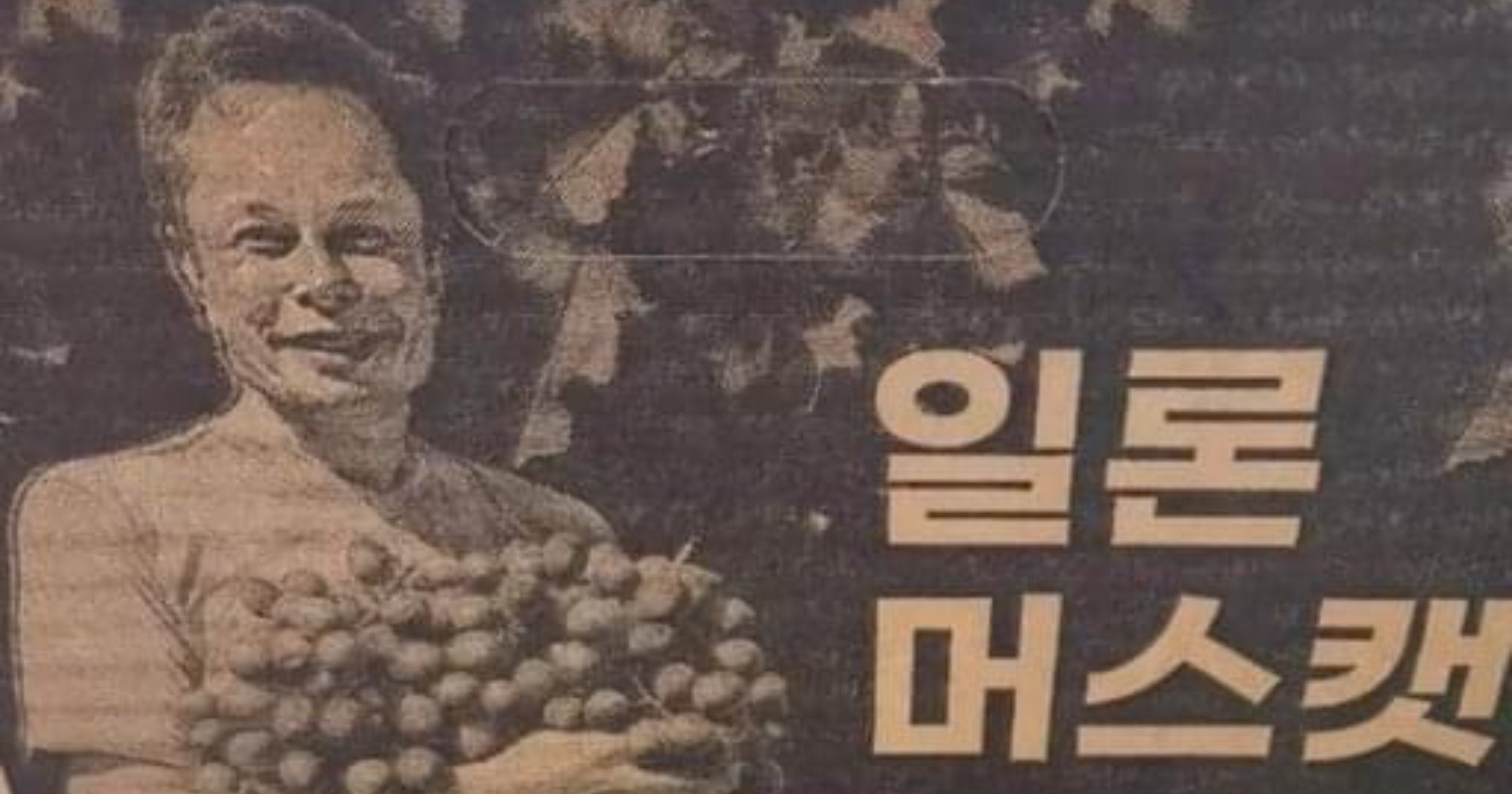 139b01fc 29c6 40de 8106 0f1046d2224d.jpeg?resize=412,232 - 일론머스크가 샤인머스캣을 팔면?