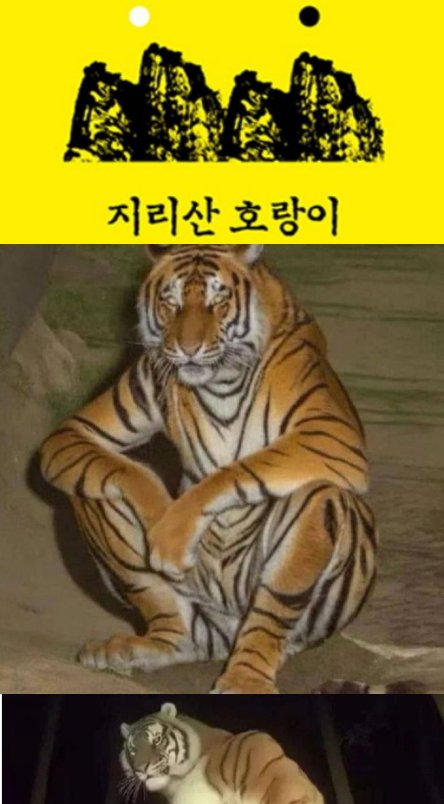 2 31.png?resize=1200,630 - 지리는 지리산 호랑이