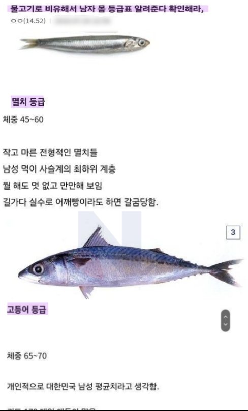 2 43.png?resize=412,232 - 생선 종류로 보는 나의 피지컬 등급 ㅎㄷㄷ