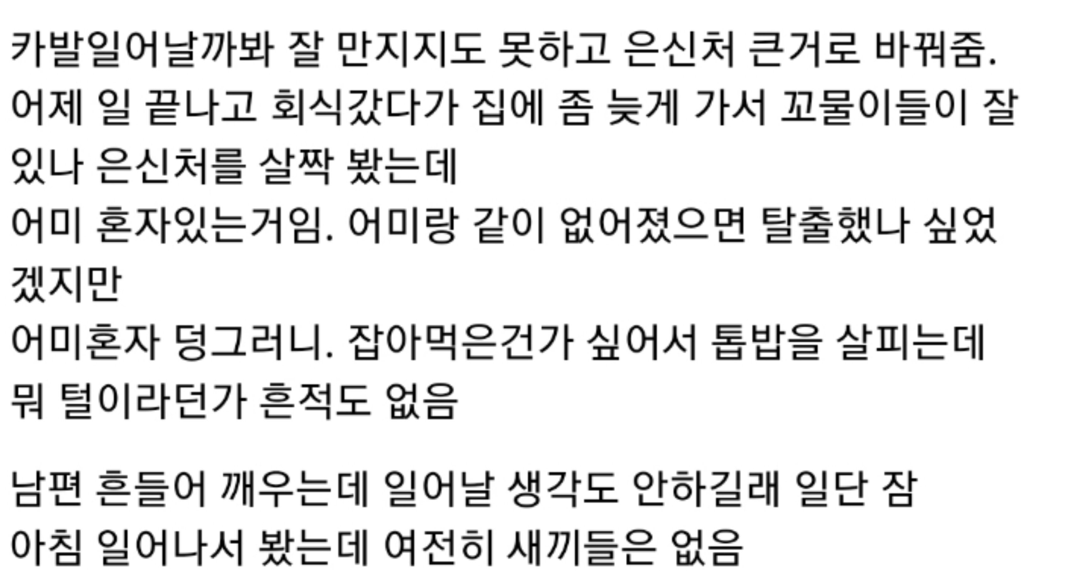 25658190 4eef 4e03 a650 8cae8f358750.jpeg?resize=412,232 - 햄스터 때문에 이혼하게 생긴 부부