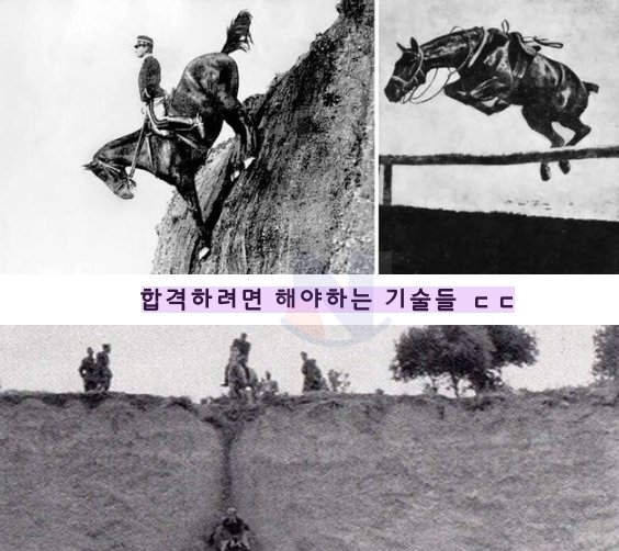 3 24.png?resize=1200,630 - 합격하려면 이 기술들을 해야하는 이탈리아 기병학교의 졸업시험ㄷㄷ