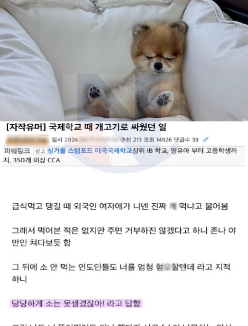 3 37.png?resize=1200,630 - 국제학교 때 ㄱ고기로 제대로 싸웠던 썰