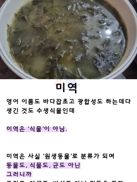 4 23.png?resize=1200,630 - 미역국이 어쩔 수 없이 맛있는 이유 ㅎㄷㄷ