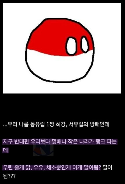 5 24.png?resize=412,232 - 한국 탱크고객 생각수준