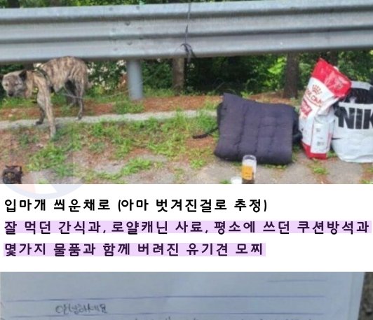 5 36.png?resize=412,232 - 눈물 없이 볼 수 없는 탄천 공영 주차장에 버ㄹ진 강아지의 사연....jpg