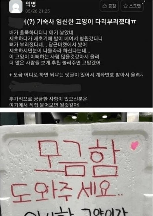 5 47.png?resize=412,232 - 에타 캣맘 레전드사건
