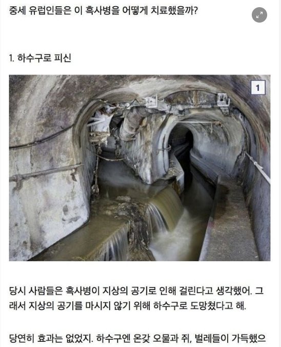 5 51.png?resize=412,232 - 흑사병으로 중세유럽이 아작난 이유