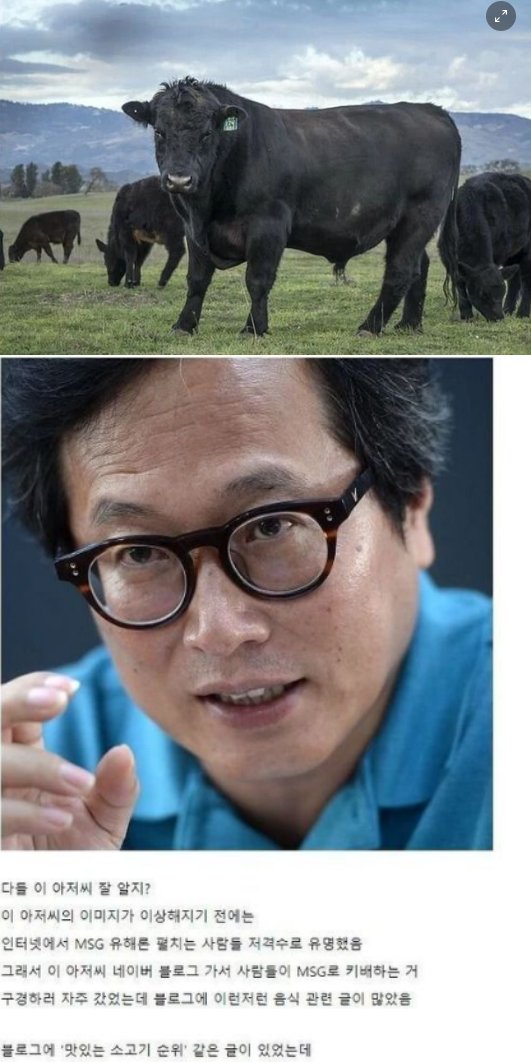 6 33.png?resize=412,232 - 블랙 앵거스가 최고의 소고기인 이유