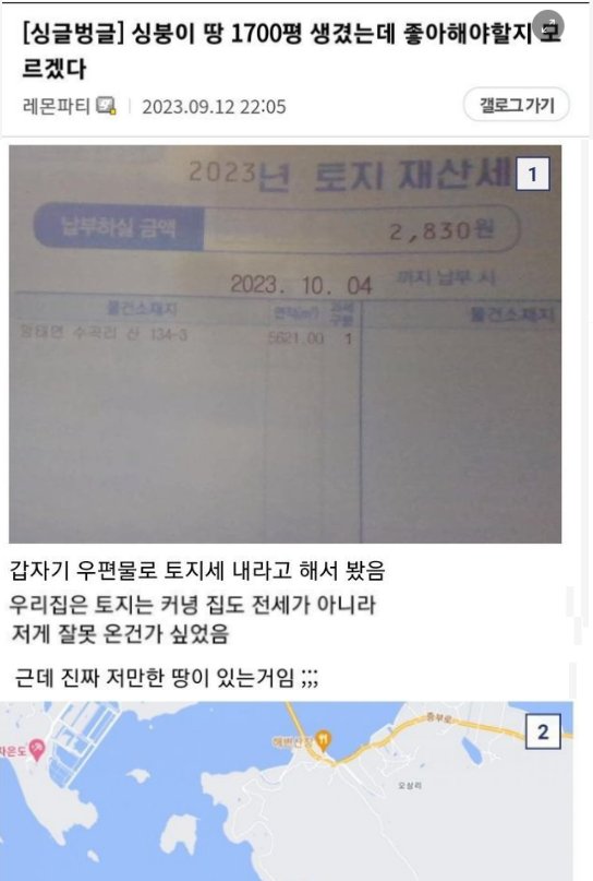 8.png?resize=1200,630 - 갑자기 1700평 땅이 생겼다는 디시인