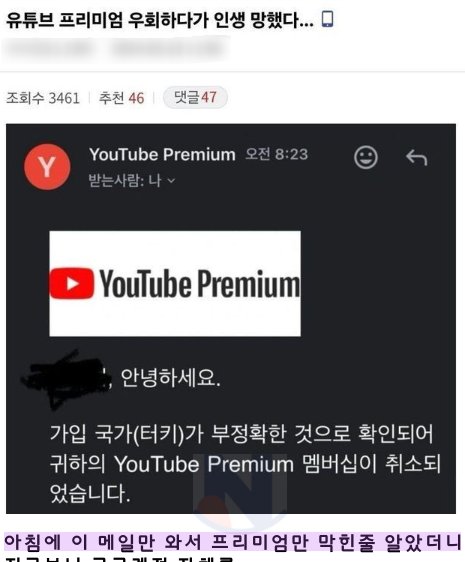 9 21.png?resize=412,232 - 유튜브 프리미엄 우회쓰다가 인생 ㅈ됐다......