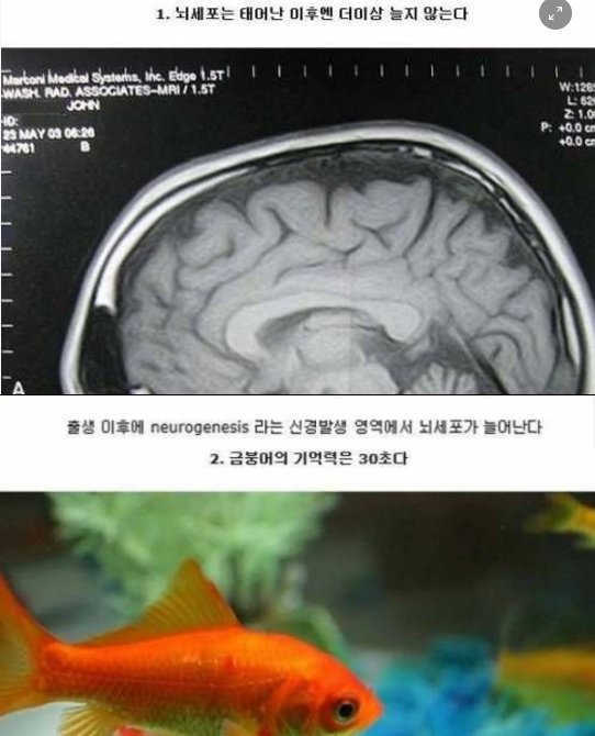9 22.png?resize=412,232 - 많은 사람들이 잘못 알고 있는 사실