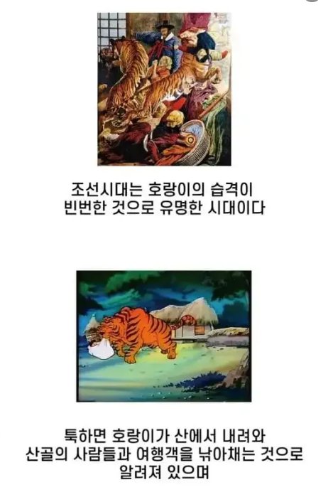 9 28.png?resize=412,232 - 조선 시대 호환에 대해서