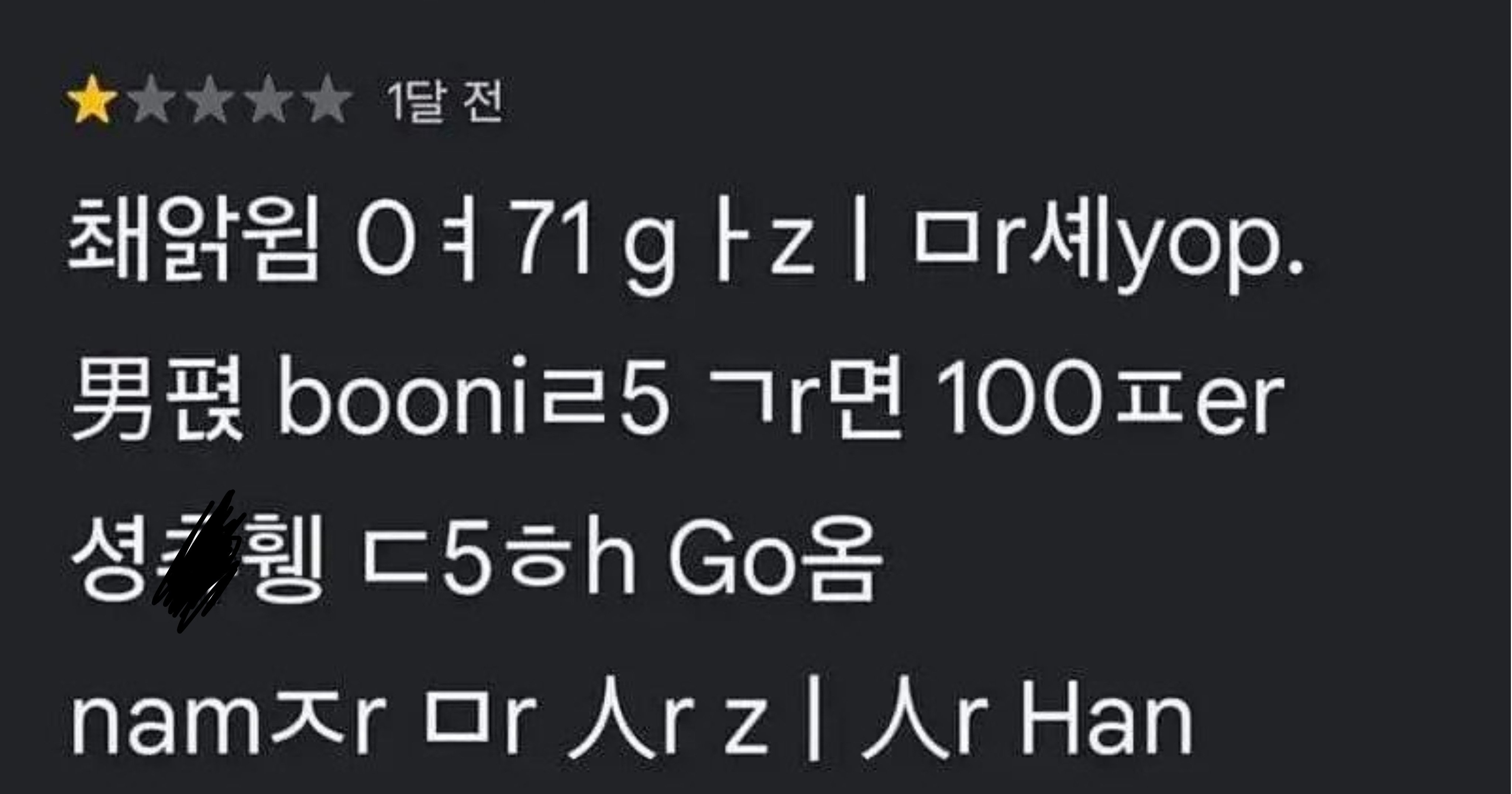 993ede92 f590 4795 99b3 7c3942696349.jpeg?resize=412,232 - AI도 뚫지 못한 한국인 이용 후기