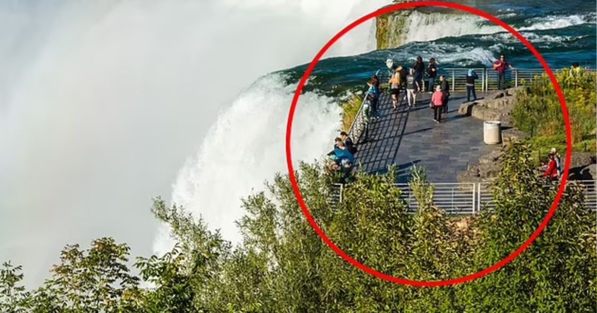 copy of articles thumbnail 1200 x 630 2 3.jpg?resize=1200,630 - Heartbreaking Reason Mother JUMPED To Her Death From Niagara Falls With Her Two Kids Revealed