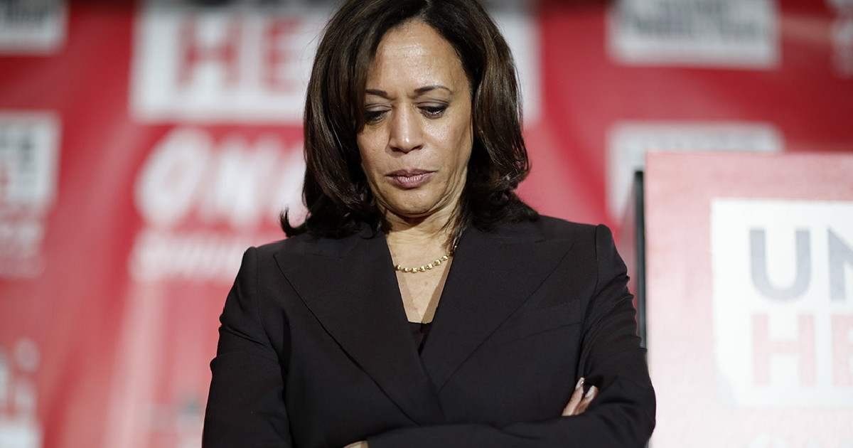 dsfsfsf.jpg?resize=1200,630 - JUST IN: Kamala Harris' HQ falls 'silent' In the Final Hour of Election Day