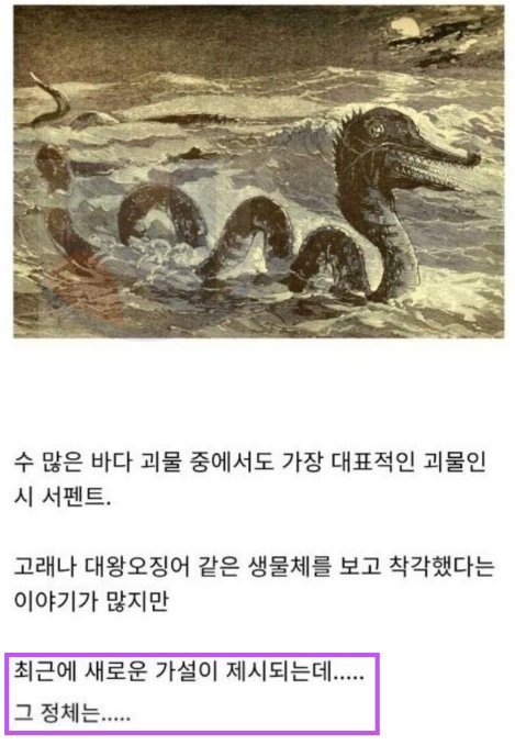 1 32.png?resize=1200,630 - 전설 속 바다괴물의 진짜 비밀ㄷㄷㄷ