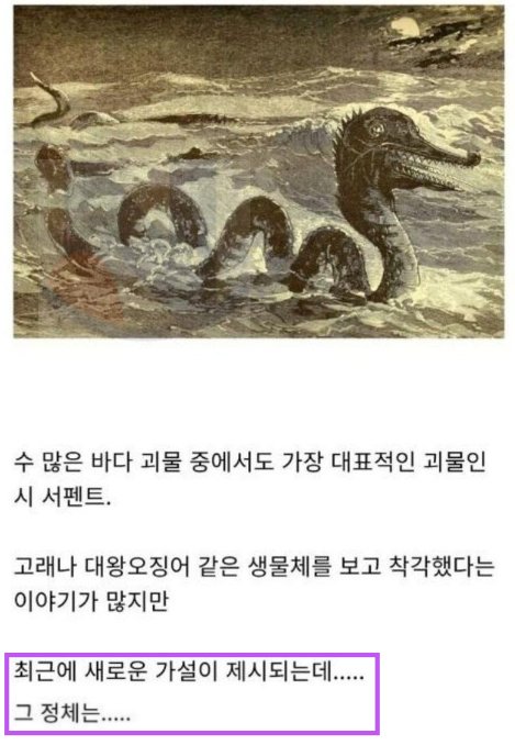 1 32.png?resize=412,232 - 전설 속 바다괴물의 진짜 비밀ㄷㄷㄷ