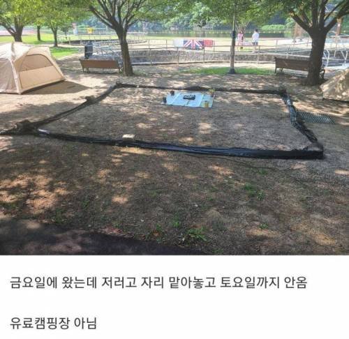 캠핑야영장 무개념.jpg