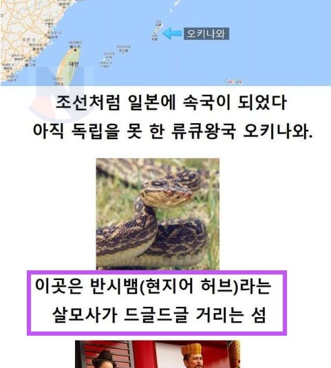 11 5.png?resize=412,232 - 뱀에 물려 죽ㄱ 싫었던 사람들이 발악했더니.. 일어난 결과 ㅎㄷㄷ