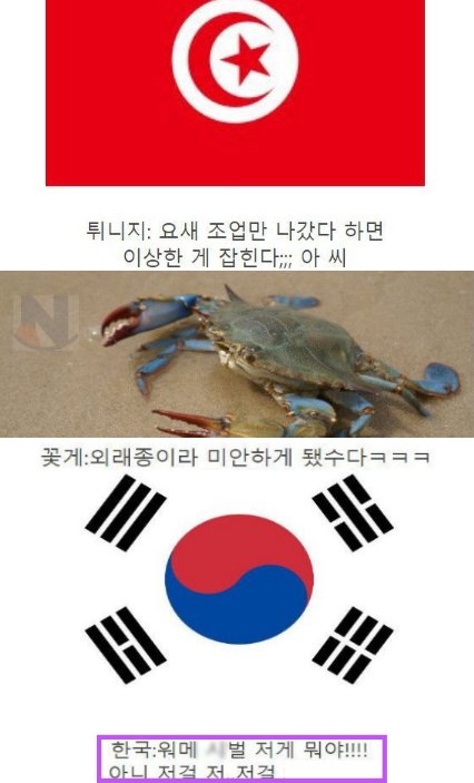 12 2.png?resize=1200,630 - 꽃게에 대한 한국인의 엄청난 광ㄱlㅋㅋㅋㅋㅋ.jpg