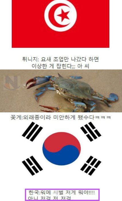 12 2.png?resize=412,232 - 꽃게에 대한 한국인의 엄청난 광ㄱlㅋㅋㅋㅋㅋ.jpg